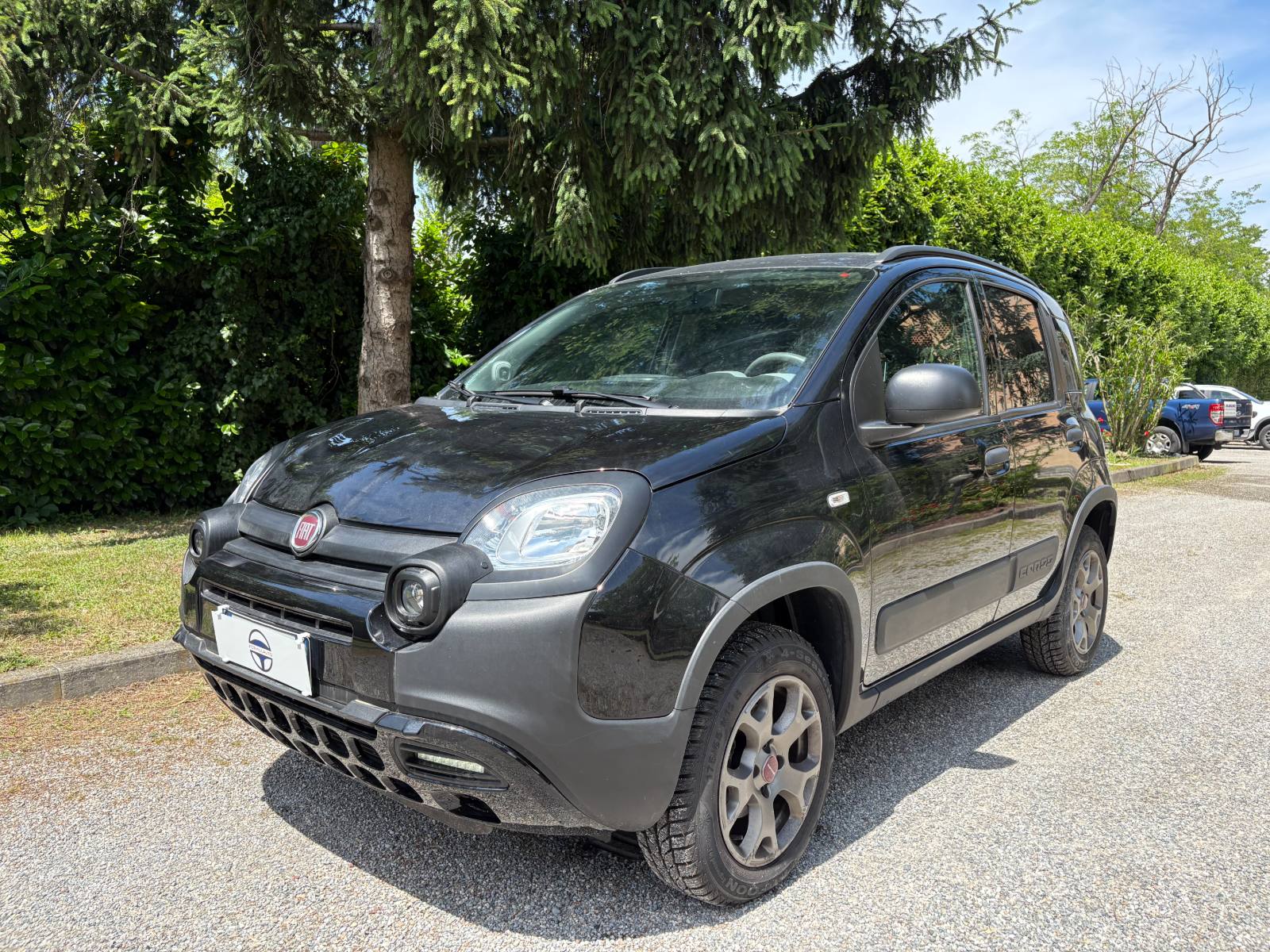 Fiat Panda usata 01/2023