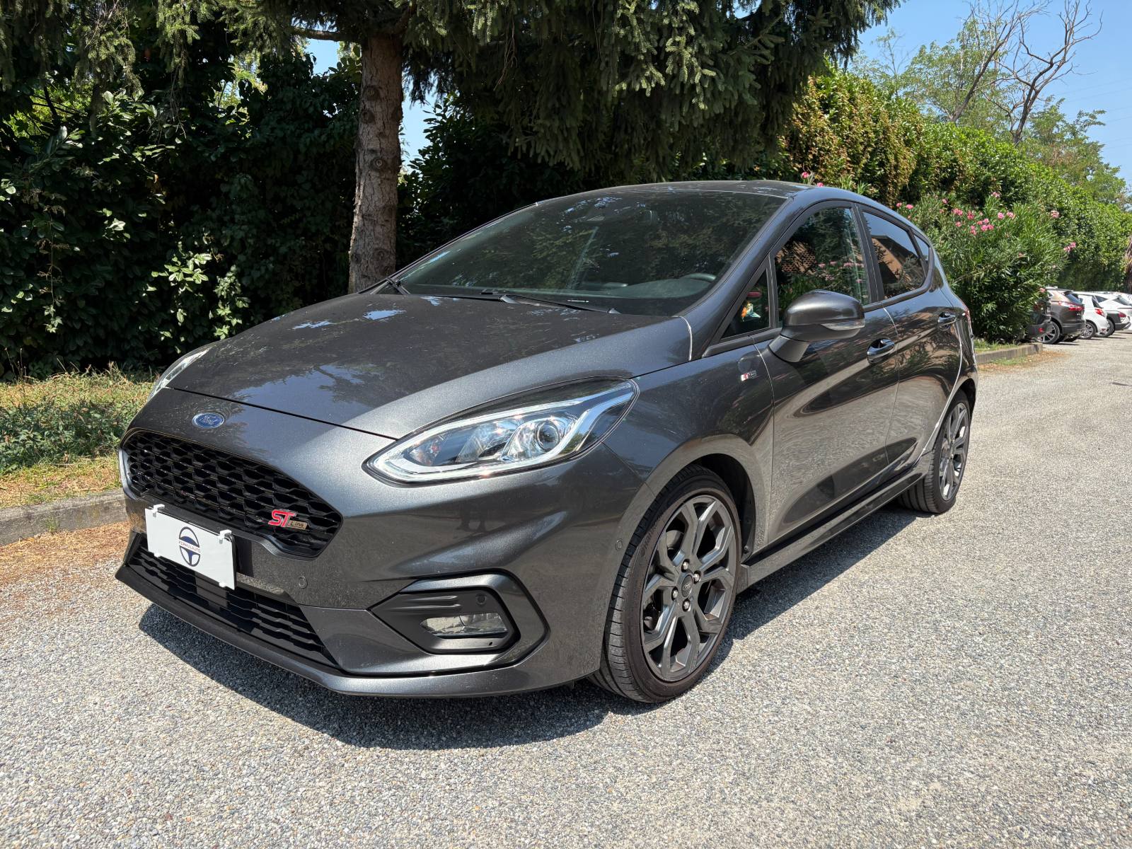 Ford Fiesta usata 10/2020